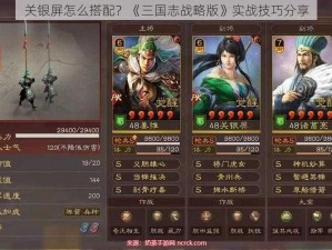 关银屏怎么搭配？《三国志战略版》实战技巧分享