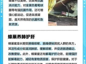 全境封锁 2 强心蜂窝作用大揭秘：优点与缺点逐一分析