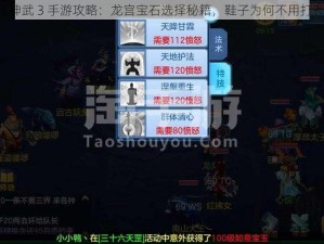 《神武 3 手游攻略：龙宫宝石选择秘籍，鞋子为何不用打？》