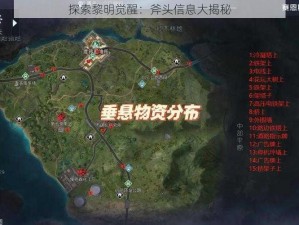 探索黎明觉醒：斧头信息大揭秘