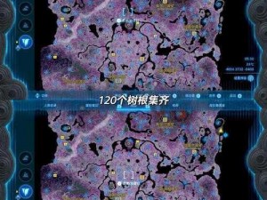 塞尔达王国之泪：探索全树根位置的终极攻略