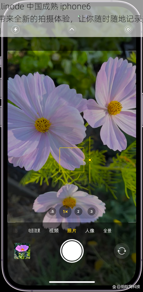 HD2linode 中国成熟 iphone69，带来全新的拍摄体验，让你随时随地记录美好瞬间