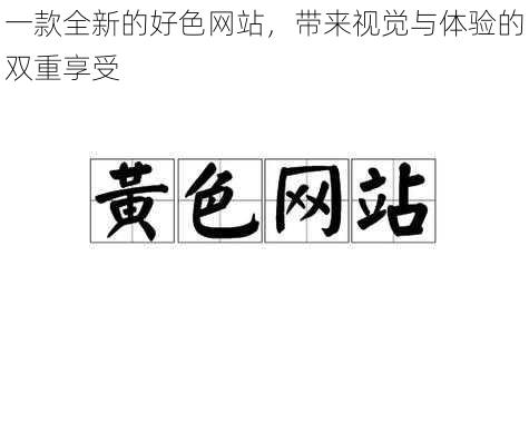 一款全新的好色网站，带来视觉与体验的双重享受