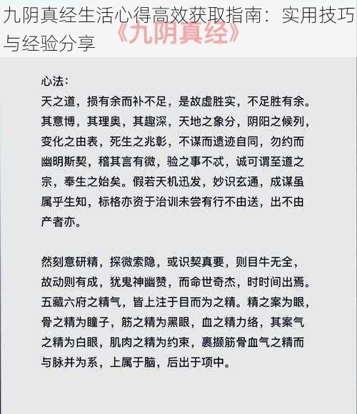 九阴真经生活心得高效获取指南：实用技巧与经验分享