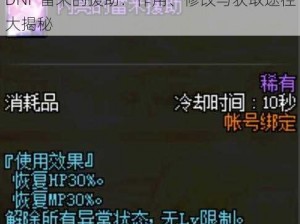 DNF 雷米的援助：作用、修改与获取途径大揭秘