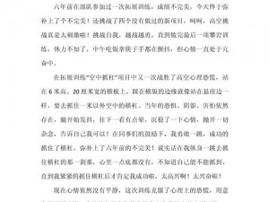 铁血联盟：交叉火力挑战之路的心得体会与感悟分享