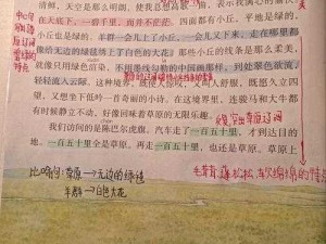 草原上的小公主 H1 月前更新阿洛，为何？如何更新？怎样更新？