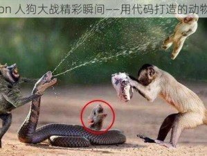 python 人狗大战精彩瞬间——用代码打造的动物世界