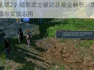 《圣域2》暗影武士被动技能全解析：攻略秘籍与实战运用