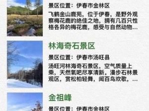 探秘伊甸园 2024 二路三路四路五路：它们有何不同？如何选择适合自己的路线？