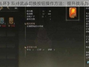 《艾尔登法环》双持武器切换按钮操作方法：提升战斗力的关键技巧