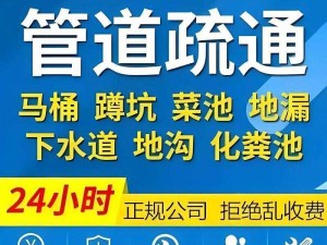 用我的棒棒疏通下你的水道(用我的棒棒疏通下你的水道，好不好嘛)