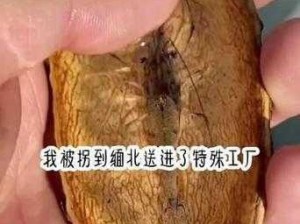 活体肉莲的图片、为什么要搜索活体肉莲的图片？