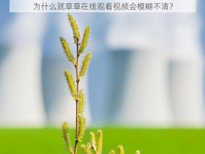 为什么就草草在线观看视频会模糊不清？