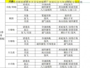 三国志战略版新版本关羽深度解析：技能玩法与阵容搭配全面指南