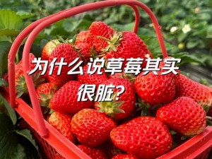 为什么-如何-怎样在草莓视频 130 在线观看？