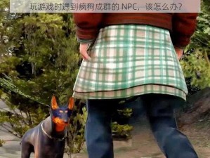 玩游戏时遇到疯狗成群的 NPC，该怎么办？