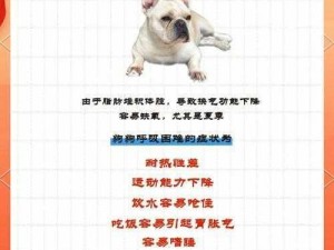 为什么要与畜禽狗进行 CROPROATION？这是如何做到的？有哪些解决方案？