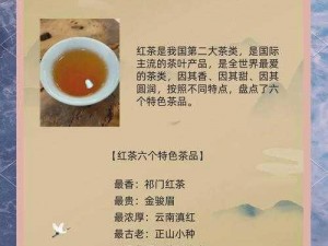 《武当针井茶韵深邃：探秘本茶纲目的独特魅力》