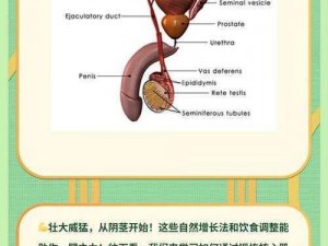 公么的粗大为什么能满足我？