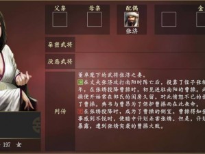 三国志 14 半自动练统帅：高效实用攻略指南