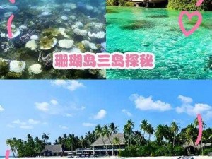 珊瑚岛夏季更新，新增三级洒水器，助力海岛生态发展