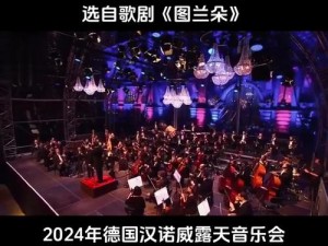 今夜无人入睡中文字幕演唱：为何歌剧需要它？怎样找到合适的版本？