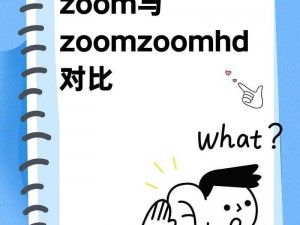 OKZOOM 和 ZOOM 有何区别？为何选择 OKZOOM？