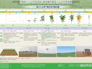 麻豆精产国品一二三产区区别_麻豆精产国品一二三产区有哪些区别？