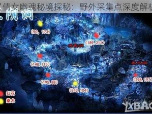 《倩女幽魂秘境探秘：野外采集点深度解析》