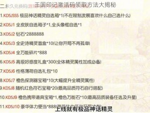 王国印记激活码领取方法大揭秘