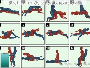 男女上下拱 120 秒，这种姿势为何如此受欢迎？