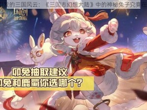 兔子引发的三国风云：《三国志幻想大陆》中的神秘兔子究竟在哪里？