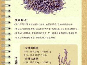 薰衣草免费实验室 2023 下载：为何要下？怎样下？在哪下？