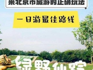 2021 仙踪林网站为何能吸引您的到来？