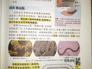 质量效应3中的隐藏生物知识揭秘：微小生物背后的奇妙世界探索