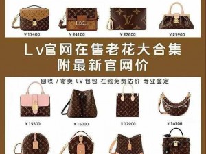 探秘 lv 日本官网官方网站中文版：为何无法访问？如何解决？