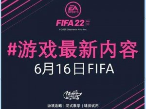 关于《FIFA13》游戏画质提升策略的探讨与实施方法