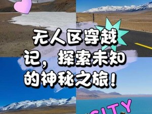 日本无人区码SUV;日本无人区码 SUV 探索之旅：惊险与美景并存