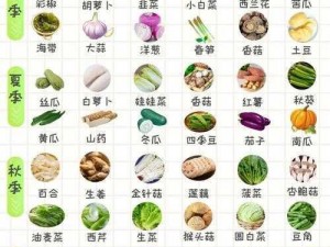 各种水果、蔬菜一应俱全，尽在草莓樱桃丝瓜富二代秋葵榴莲