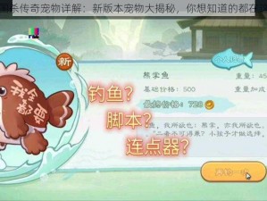 三国杀传奇宠物详解：新版本宠物大揭秘，你想知道的都在这里