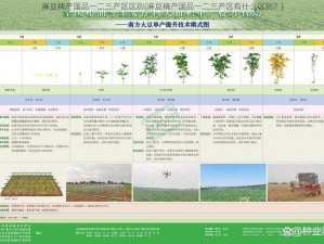 麻豆精产国品一二三产区区别(麻豆精产国品一二三产区有什么区别？)