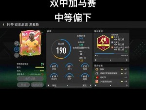 《FIFA14》技巧挑战赛视频攻略：高手进阶攻略分享助你轻松取胜秘籍全揭秘