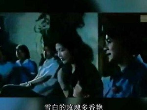 插曲视频免费完整版在线播放，为何找不到资源？如何解决？