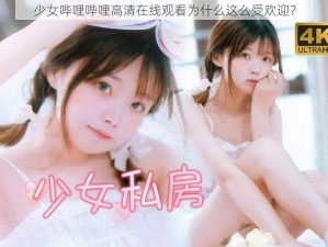 少女哔哩哔哩高清在线观看为什么这么受欢迎？