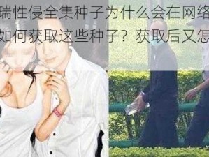 李宗瑞性侵全集种子为什么会在网络上疯传？如何获取这些种子？获取后又怎样观看？