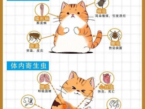 猫咪 30 天驱虫怎么做？新手养猫必看