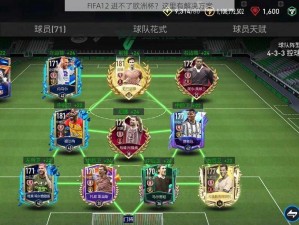 FIFA12 进不了欧洲杯？这里有解决方案