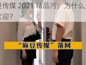 麻豆传煤 2021 精品污，为什么这么受欢迎？