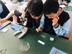 生物老师上课全班做了-生物老师上课全班做了什么实验？